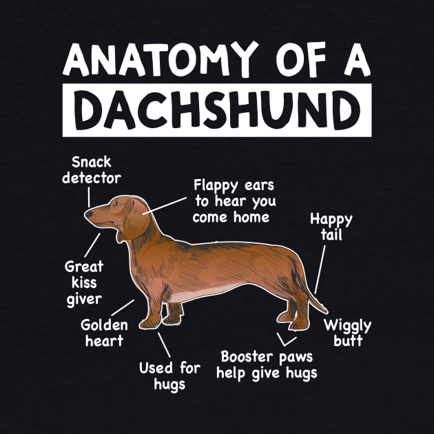 Funny Anatomy Dachshund Wiener Dog Cute Doxie Lover by Wakzs3Arts